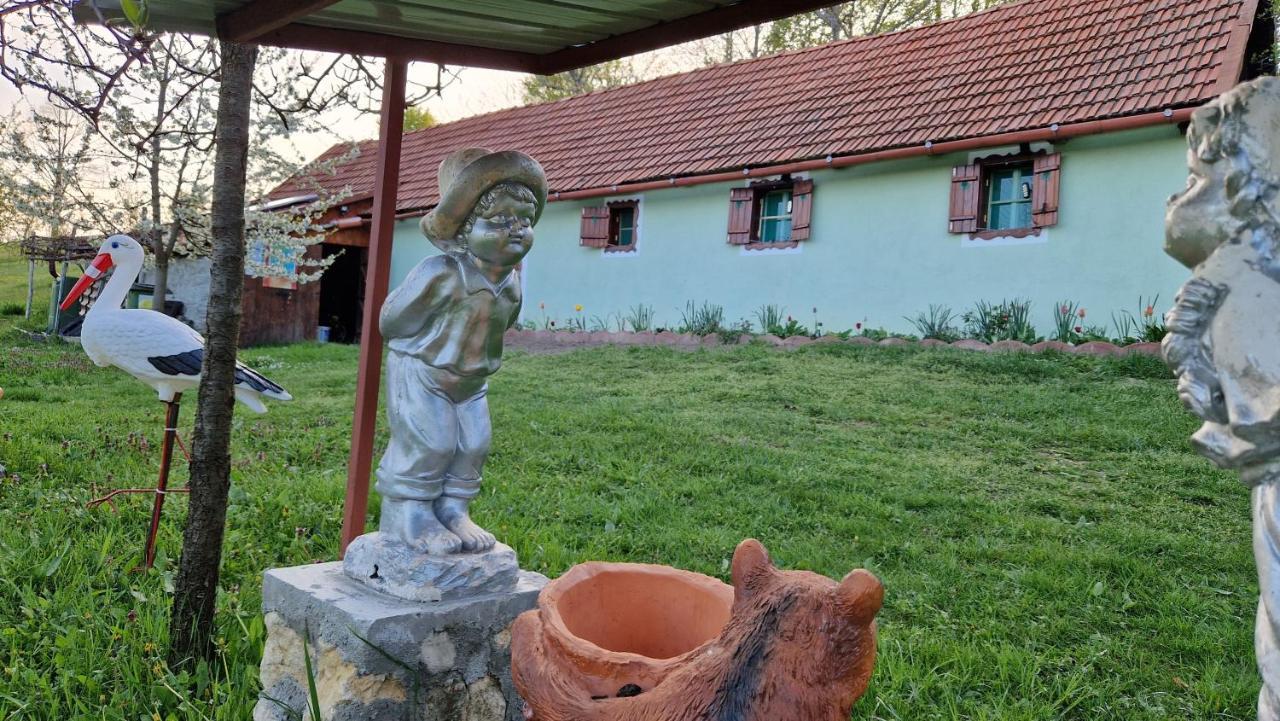 La Salasul Fermecat In Cheile Carasului Iabalcea Ngoại thất bức ảnh